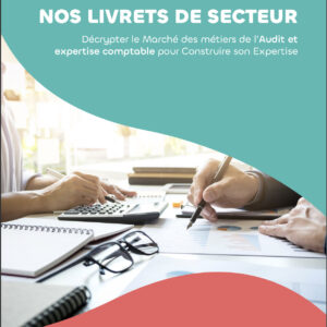 Livret de secteur Format ebook - Décrypter le Marché des métiers de l’audit et expertise comptable, pour Construire son Expertise
