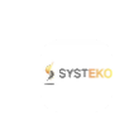 Logo systeko